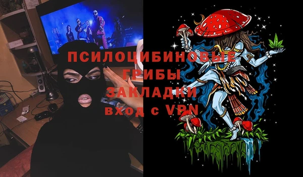бошки Абинск