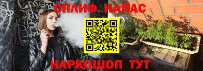 не бодяженный Шебекино