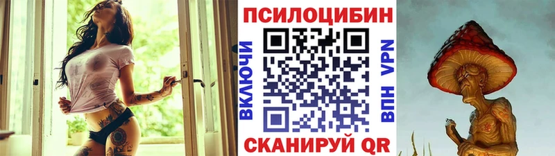 Галлюциногенные грибы Psilocybine cubensis  цены   Алатырь 