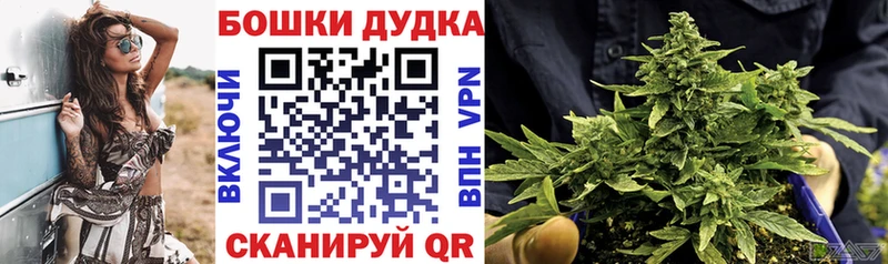 Конопля семена  MEGA рабочий сайт  Алатырь 