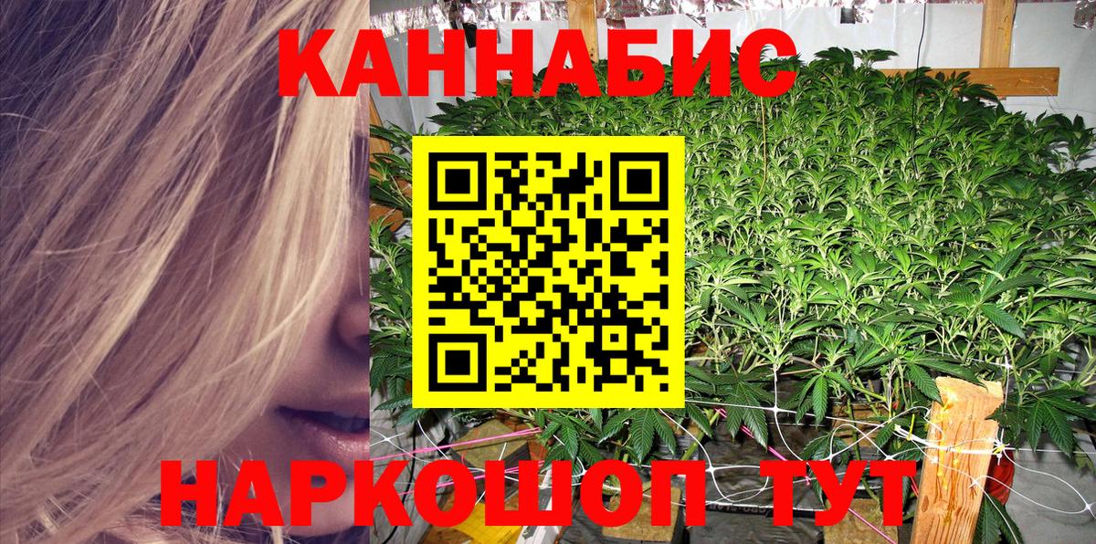Алатырь  Бошки Шишки AK-47  Вход с VPN  Бошки Шишки план  Марихуана LSD WEED 